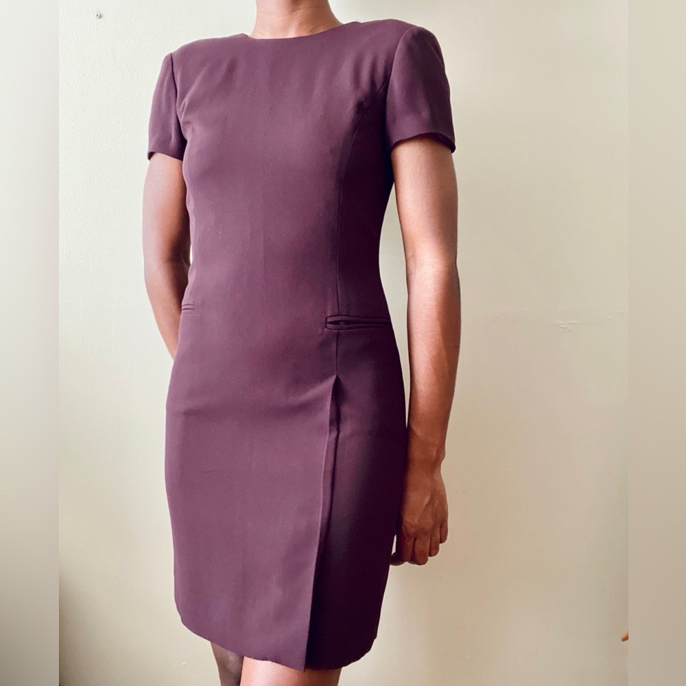 Elegant Plum Dress